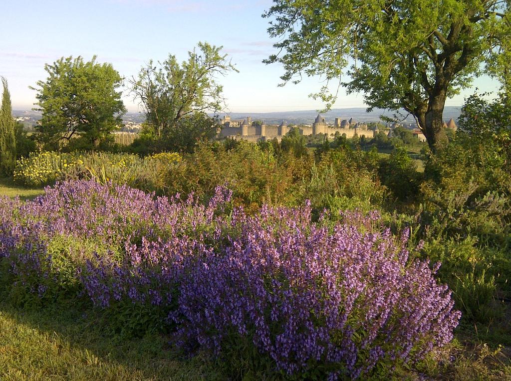 B&B Dochavert Carcassonne Esterno foto